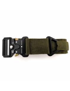 CINTURON C-BUCKLE TIPO... 2