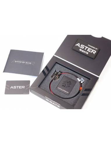 GATE ASTER V2 BASIC MODULE (FRONT WIRED)